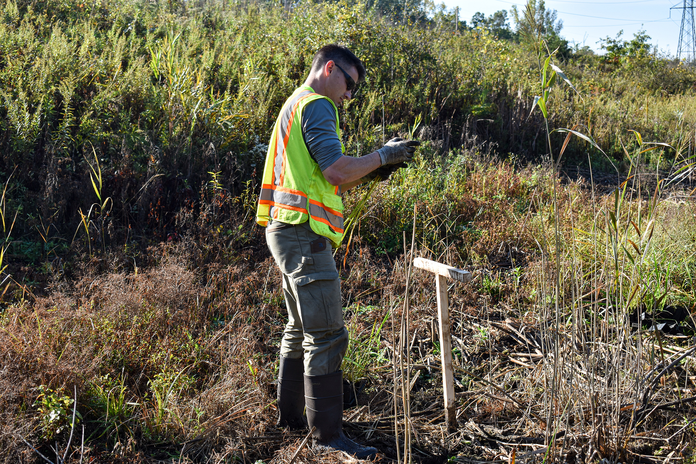 Chris planting wetland shrubs_10x6.jpg